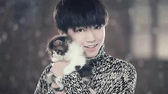 磊子连麦爆料明星视频在线观看,明星视频在线观看，揭秘娱乐圈幕后故事  第3张