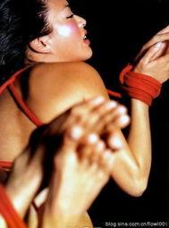 娱乐大爆料钟丽缇视频,娱乐大爆料背后的惊人真相  第1张